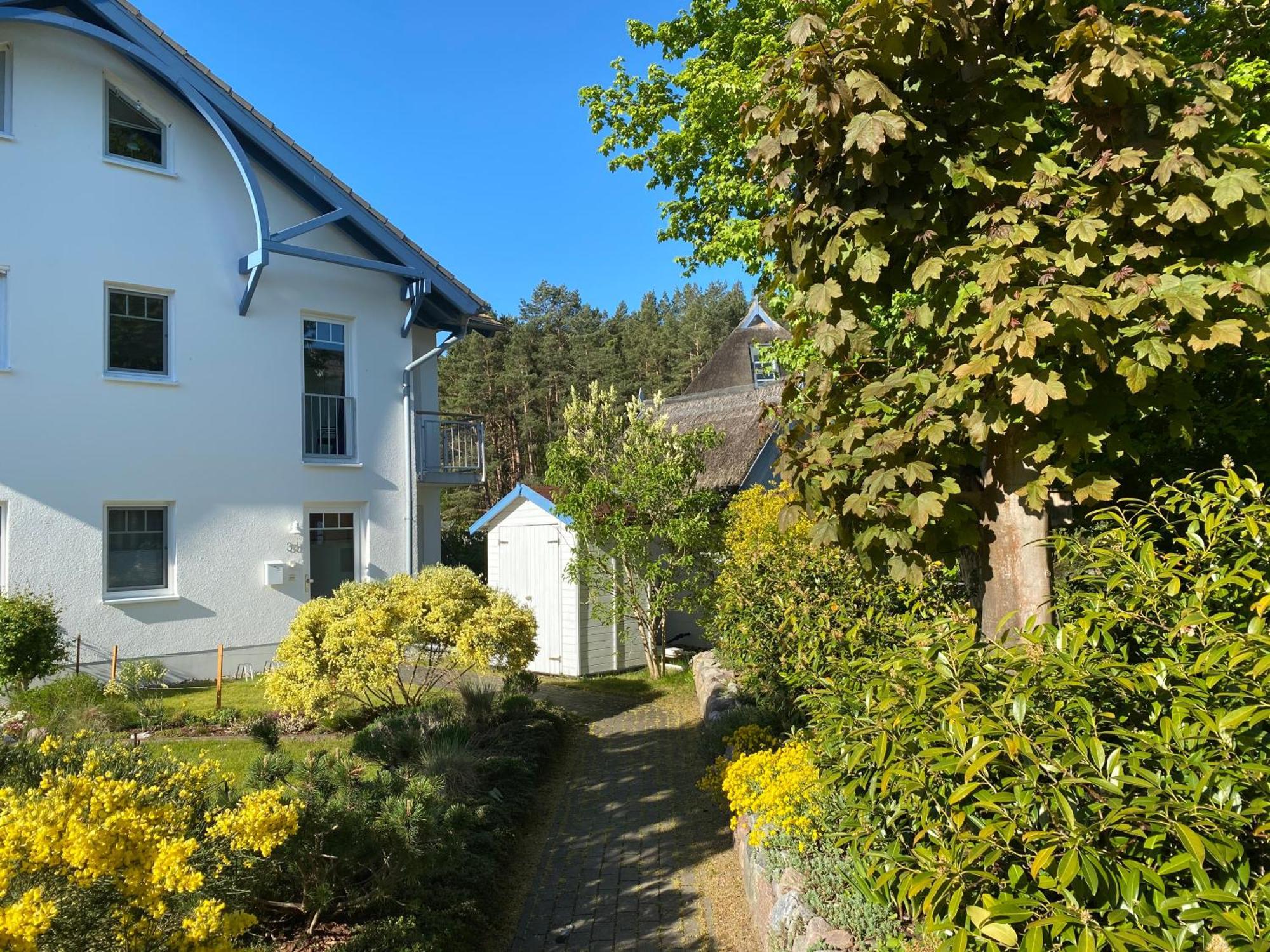 Duenenresidenz Karlshagen - Ferienwohnung Ginsterweg Zewnętrze zdjęcie