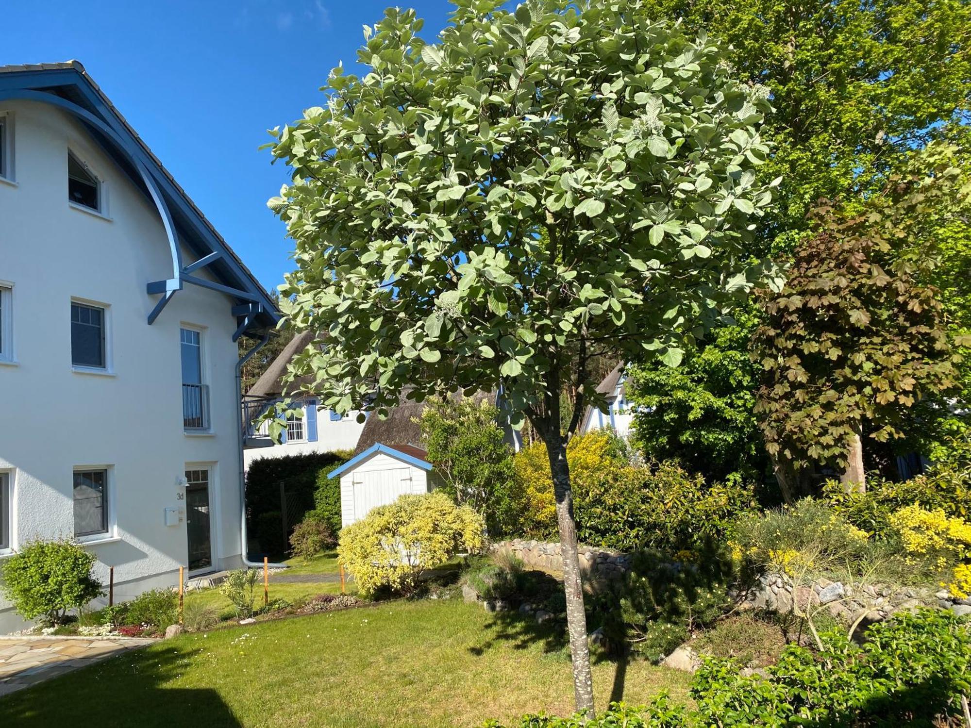 Duenenresidenz Karlshagen - Ferienwohnung Ginsterweg Zewnętrze zdjęcie